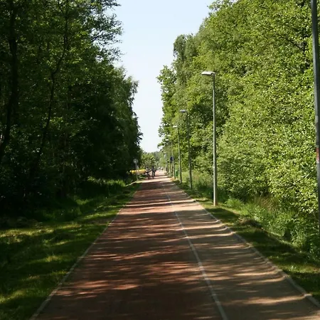 Grey & White Pogodne Lejlighed *