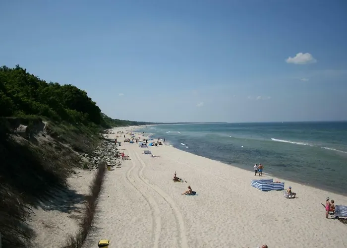 Grey & White Pogodne *